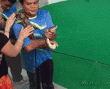 一名中国女游客去泰国旅游吻蛇被蛇咬 - A Chinese female tourist travels to Thailand to kiss a snake bitten by a snake.