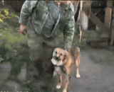 不洗澡不洗澡我不洗澡 - No bath, no bath, I do not take a bath