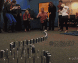 Domino, a mobile phone, is so headstrong.,手机做成的多米诺骨牌，土豪就是这么任性!