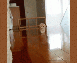 1.2.3木头人…不许说话不许动 - 1.2.3 wood people... No words are not allowed to move