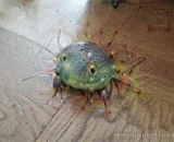 谷歌人工智能处理动态画面，这也太恶心了，慎入！ - Google AI handles dynamic images, which is disgusting and cautious.