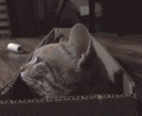 You see, as long as the teammate is wave B, you have to roll over again.,你看，只要队友是浪B，你就算再稳也得翻车…