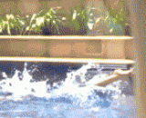 绝美身材！！啊！我的眼睛好辣！ - Beautiful figure!! Ah! My eyes are hot!