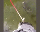 卧槽！不要命了！ - What the fuck！ It's not dead!