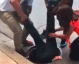 A very loving scene, to save the ducks is also a fight.,非常有爱的一幕，为了救鸭子也是拼了