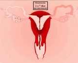 一个图讲述了每个月女性都经历了什么 - A picture tells what women have gone through every month.