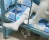 据说这是身材好的验证标准 - It is said that this is a good standard of verification