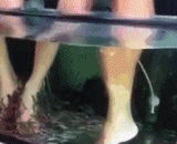 How smelly your feet are, and the fish don't care for you,你的脚是有多臭，鱼都不爱理你