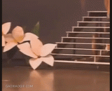 My sister wrestled down the stairs, and the figure was in a brakes.,妹子下楼梯摔跤，这身材根本刹不住