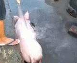 是时候告诉你的朋友，你有他洗澡的录像了 - It's time to tell your friend that you have a video of his bath.