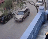 这简直是故意杀人 - It's a murderous murder