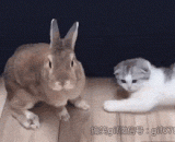 用手托头的这动作过分了啊！太妖娆了啊 - It's too much to use the hand. It's so enchanting