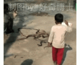 印度小孩抓蛇 - India children grab snakes