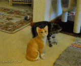 你随意，动一下算我输 - You're free to move, and I'm going to lose