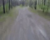 丛林追逐，吃奶的劲在跑！ - The jungle chase, the strength of the milk!