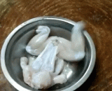 I think I should be able to salvage it again,我觉得我应该还可以再抢救一下