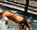 不是我恐高，你来你也怂！ - I am not afraid of heights, you come to you, too.