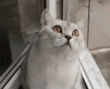 宝宝生气了，别动我 - The baby is angry, don't move me