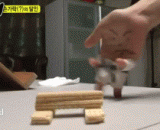 跆拳道黑带的劈砖，看一次笑一次根本停不下来啊 - The brick of taekwondo black belt looks at a laugh once and never stops at all.