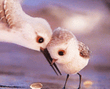 老妈你推我干嘛？？萌了一脸血！ - Why do you push me, mom?? Sprout a face of blood!