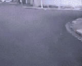 汪星人爬墙帮主人拿东西 - The Wang star climbed the wall to help the owner take things