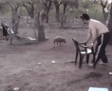 Let you grab me and ask my dad to beat you,让你乱抓我，叫我爸爸打你