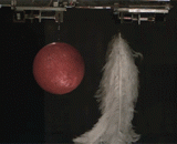 在世界上最大的真空室，做自由落体实验 - In the largest vacuum chamber in the world, do free fall experiments.