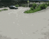 女司机VS老司机 - Female driver VS driver