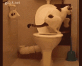 主银就是这样把纸丢进马桶的 - This is the way the main silver throws the paper into the toilet.