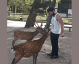 都磕头了还不给吃的，还是人吗 - Are they all kowtow not to eat, or people?