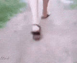 What do you do with the tail of the color wolf?,遇到色狼尾随怎么办？