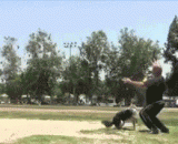 超人狗诞生！无所不能 - The Superman dog is born! Be equal to anything