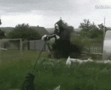 这个稻草人我是服气的，半夜能给人吓死！ - I am convinced by this scarecrow. It can frighten people to death in the middle of the night.