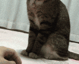 哎，我跟你说停下！在动信不信挠死你 - Oh, I told you to stop! Do not trust you to die in the letter