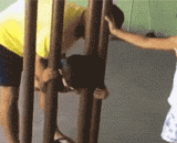 事实证明，小朋友被卡，只要头过得去，身体就能过去 - It turns out that children are stuck, so long as their heads pass, the body will pass.