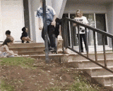 滑板技术满分，可是最后一下我差点吓尿了！ - Skateboarding is perfect, but in the end, I almost scared the urine.