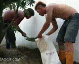 笑尿了！哥俩到底还能不能好好干个活 - Smile in the urine! Can the two guys do a good job