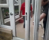 这是一只有故事的汪星人 - This is a story of Wang Xingren