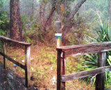 The backyard in the rain is beautiful,下雨中的后院，好唯美