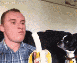 Come on, catch it! A clever Wang Xingren,来，接住！！好灵巧的汪星人