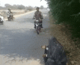 千万不要有多余的同情心！！！ - Do not have the superfluous compassion!!!