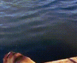 主人假装溺水，汪星人跳水相救！ - The master pretends to drown, and the Wang star dives to save it!