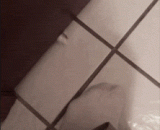 你说，上厕所你为什么要关门，就让我进去看一眼会死啊 - You say, why do you close the door when you go to the toilet? Let me go in and see it and die.