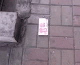 在地上见到钱，千万别装逼啊 - When you see the money on the ground, don't push it.