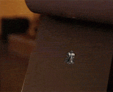 激光切割的纸 - Laser cut paper