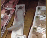 What is this material? It looks very fresh,这是什么食材？看起来很新鲜