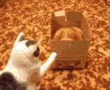 小样，有本事出来单挑！！！ - Small sample, have the ability to come out singled out!!!