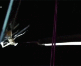 蜘蛛喷丝的瞬间 - The moment of a spider's spinneret