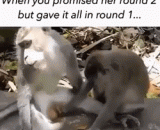 What about the three hundred round of the good war? You're going to get up,特么说好的大战三百回合的呢？你倒是雄起来啊