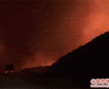 在深林大火中开车，简直像地狱，都着火了，你还往里开车 - Driving in a deep forest fire is like hell. It's all on fire. You drive in there.